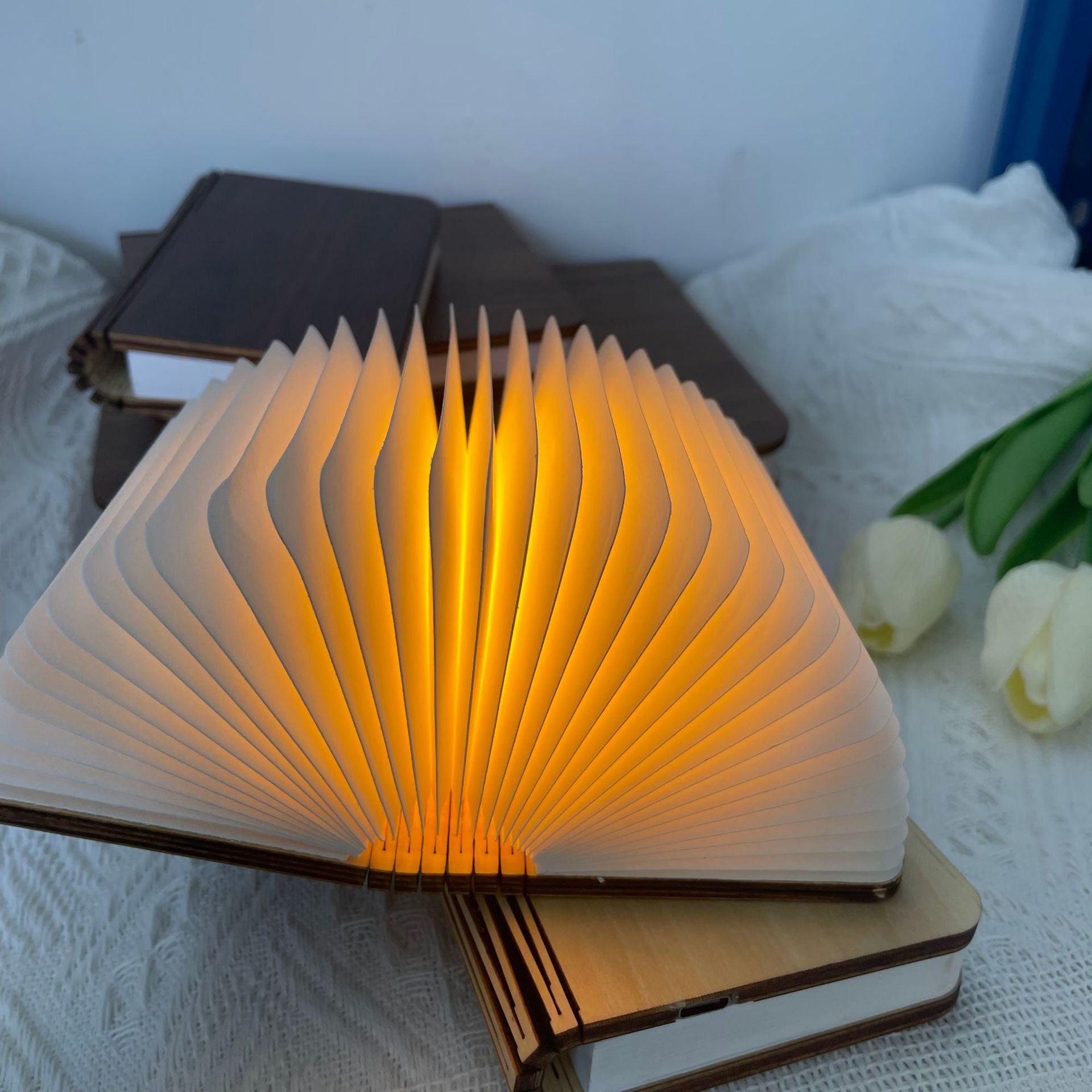 3D Book Lamp - Designmycraft